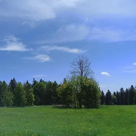Luník *